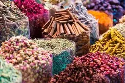 سیستم ایمنی بدن را با گیاهان دارویی تقویت کنید