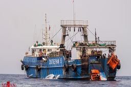 توقیف ۴ فروند کشتی صید ترال در بندرعباس