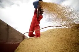 آغاز دور جدیدی از احتکار مواد غذایی در چین