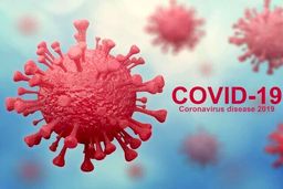 چند نکته درباره نقش پوست و مو در انتقال ویروس کرونا