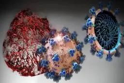 قدرت کشندگی کرونا کم شده است