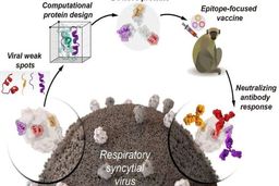 طراحی واکسن با استفاده از پروتئین‌های مصنوعی