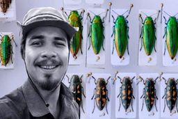 دور دنیا| شکار سوسک در سریلانکا جرم است