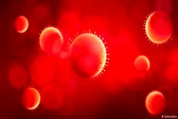 دانشگاه پرینستون: گرمای تابستان جلوی گسترش کرونا را نمی‌گیرد