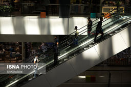 افزایش سن ازدواج عامل اصلی کاهش جمعیت کشور