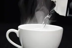 نوشیدن آب گرم کرونا را از بین نمی برد
