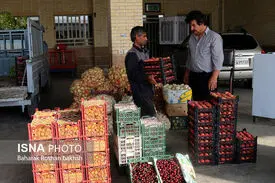 میادین میوه و تره‌بار «روز قدس» تعطیل هستند