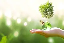 آیا شیوع ویروس کرونا بر بهبود تنوع زیستی تاثیر گذاشته است؟