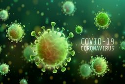 بهبودیافتگان کرونا، نه دوباره مبتلا می‌شوند و نه ناقل هستند