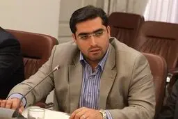 چرا قیمت خودرو ترمز برید؟