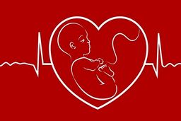 سئوالاتی که باید قبل از بارداری پاسخ داد