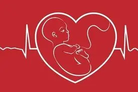 سئوالاتی که باید قبل از بارداری پاسخ داد