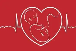 سئوالاتی که باید قبل از بارداری پاسخ داد