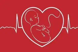 سئوالاتی که باید قبل از بارداری پاسخ داد