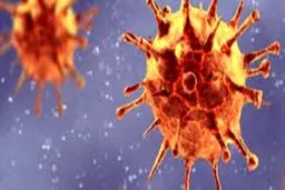 شرکت داروسازی فرانسوی: واکسن کرونا ابتدا به آمریکا عرضه خواهد شد