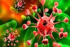 اعلام وضعیت قرمز کرونا در این شهرستان