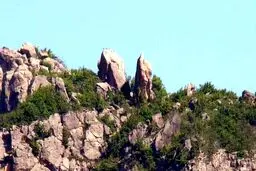 برگزاری مراسم عروسی در کوه‌ها به خاطر کرونا!