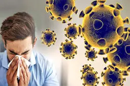 کرونا از طریق گوش وارد بدن نمی‌شود