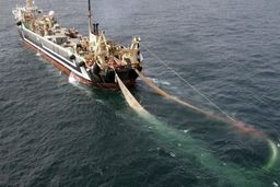 توقیف ۳ فروند شناور صیادی ترال در خلیج فارس / کشف ۴۰ تن ماهی و دستگیری ۵۳ ‌متهم