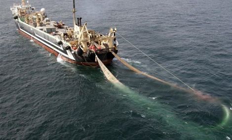 توقیف ۳ فروند شناور صیادی ترال در خلیج فارس / کشف ۴۰ تن ماهی و دستگیری ۵۳ ‌متهم