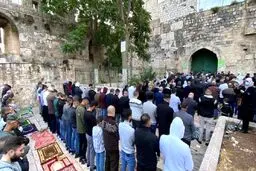 اشغالگران صهیونیست اقدام به ضرب و شتم نمازگزاران فلسطینی کردند