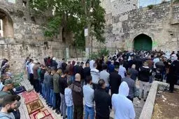 اشغالگران صهیونیست اقدام به ضرب و شتم نمازگزاران فلسطینی کردند