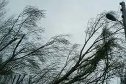 تندباد ۱۰۰ کیلومتری در مازندران خسارت نداشت