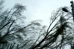 تندباد ۱۰۰ کیلومتری در مازندران خسارت نداشت