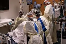 بهترین دوست «کرونا» را بشناسید!