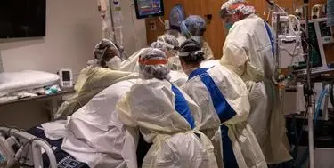 بهترین دوست «کرونا» را بشناسید!