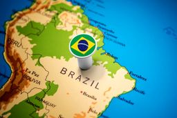 ممنوعیت ورود مسافران برزیلی به آمریکا