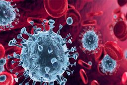 بیش‌ترین زیان کرونا به کارکنان کدام بخش‌ها وارد شد؟