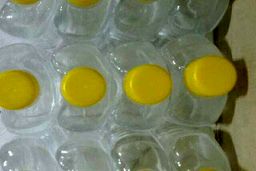 تولید الکل از پسماند صنایع غذایی و محصولات غذایی برای ارتقای سیستم ایمنی