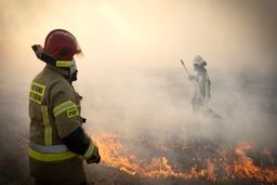 وقوع حریق در بوستان ولایت