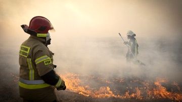 وقوع حریق در بوستان ولایت