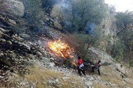آتش سوزی مناطق حفاظت شده خاییز بهبهان و جنگل‌های خسرج حمیدیه عمدی است /با کمبود شدید نیرو مواجه هستیم