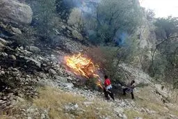 آتش سوزی مناطق حفاظت شده خاییز بهبهان و جنگل‌های خسرج حمیدیه عمدی است /با کمبود شدید نیرو مواجه هستیم