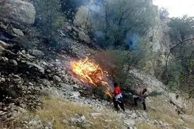 آتش سوزی مناطق حفاظت شده خاییز بهبهان و جنگل‌های خسرج حمیدیه عمدی است /با کمبود شدید نیرو مواجه هستیم