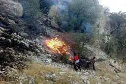 آتش سوزی مناطق حفاظت شده خاییز بهبهان و جنگل‌های خسرج حمیدیه عمدی است /با کمبود شدید نیرو مواجه هستیم
