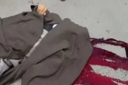 بازخوانی چند جنایت‌ که ایران را تکان داد