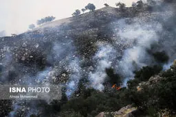آخرین وضعیت آتش سوزی خائیز در خوزستان و کهگیلویه و بویراحمد