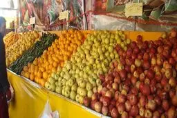 میادین میوه و تره بار روزهای ۱۴ و ۱۵ خرداد باز هستند