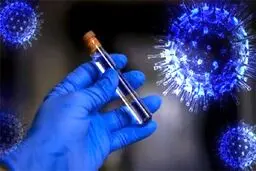 کرونا در این استان رکورد زد