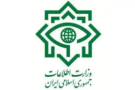 توضیحات وزارت اطلاعات درباره آزادی یک جاسوس آمریکایی