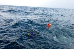 الگوریتمی جدید برای پیداکردن اشیاء و افراد گمشده در دریا