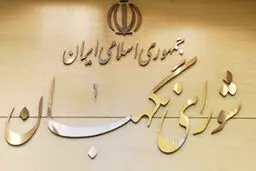 از هر طرح یا لایحه‌ای در صیانت از کرامت و امنیت زنان استقبال می‌کنیم