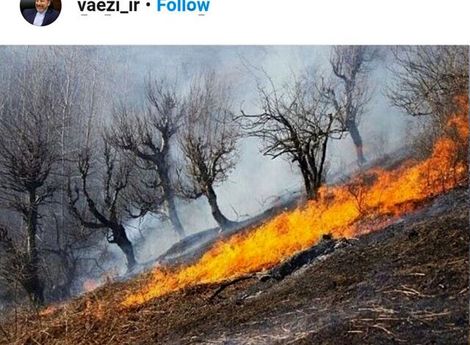 واعظی: گزارش جامع آتش‌سوزی «خائیز» برای رئیس‌جمهوری ارسال می‌شود