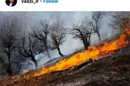 واعظی: گزارش جامع آتش‌سوزی «خائیز» برای رئیس‌جمهوری ارسال می‌شود