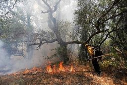 شناسایی عامل آتش سوزی در ارتفاعات خاییز