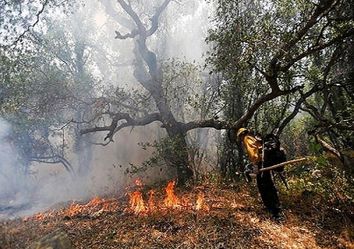 شناسایی عامل آتش سوزی در ارتفاعات خاییز